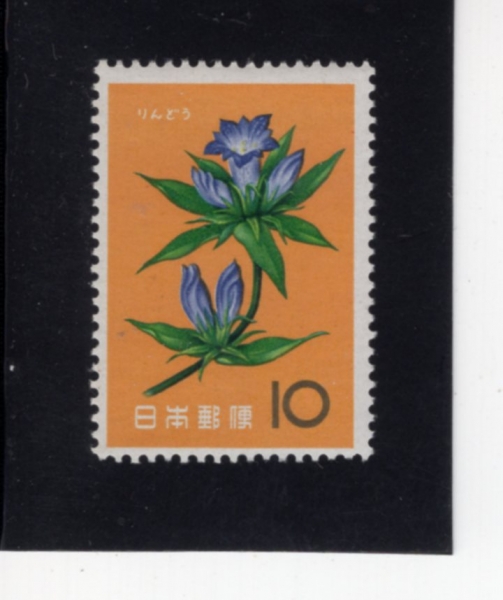 JAPAN(Ϻ)-#721-10y-GENTIAN(ƼƳ)-1961