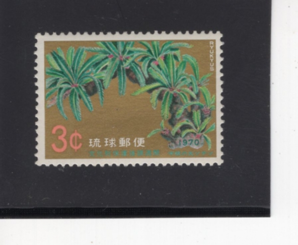 RYUKYU ISLANDS(ť )-#205-3c-GREAT CYCAD OF UNE( ö)-1970.11.2