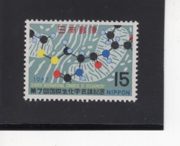 JAPAN(Ϻ)-#927-15y-MITOCHONDRIA AND PROTEIN MODEL(ܵ帮, ܹ 𵨸)-1967.8.19