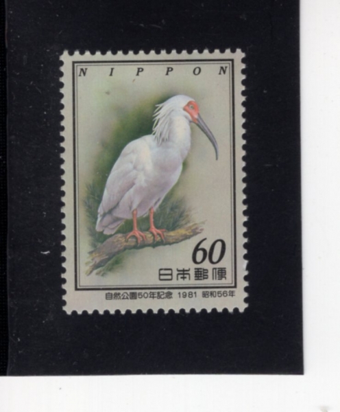 JAPAN(Ϻ)-#1461-60y-JAPANESE CRESTED IBIS()-1981.7.27