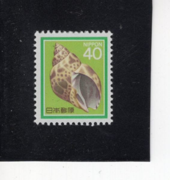 JAPAN(Ϻ)-#1623-40y-IVORY SHELL( )-1988