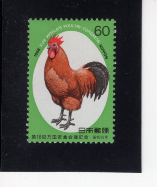 JAPAN(Ϻ)-#1806-60y-18TH WORLD POULTRY CONG., NAGOYA(18ȸ  ݷ ȸ)-1988.9.3