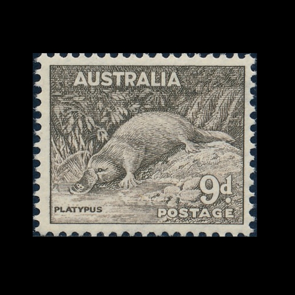 AUSTRALIA(Ʈϸ)-#174-9p-PLATYPUS(ʱ)-1943