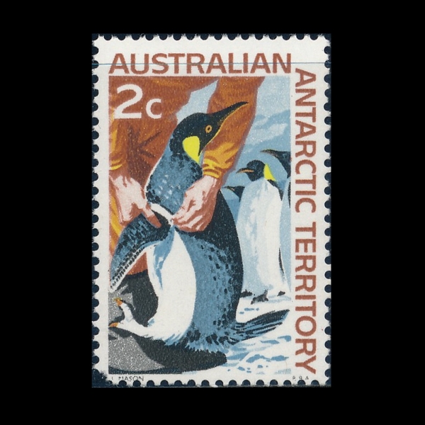 AUSTRALIAN ANTARCTIC TERRITORY(ȣ  )-#L9-2c-BANDING PENGUINS( )-1966.9.28