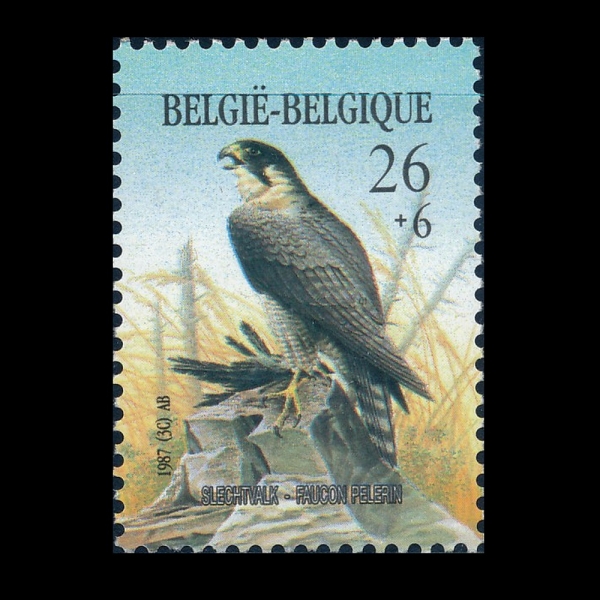 BELGIUM(���⿡)-#B1062-26+6fr-PEREGRINE FALCON(�۰��)-1987.3.16��