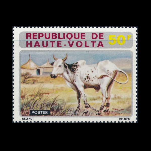 BURKINA FASO(�θ�Ű���ļ�)-#285-50fr-COW(��)-1972.12.4��