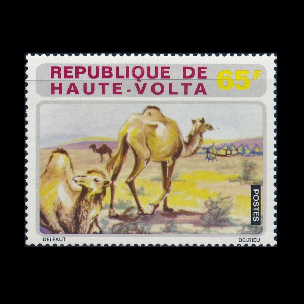 BURKINA FASO(�θ�Ű���ļ�)-#286-65fr-DROMEDARIES(�ܺ���Ÿ)-1972.12.4��