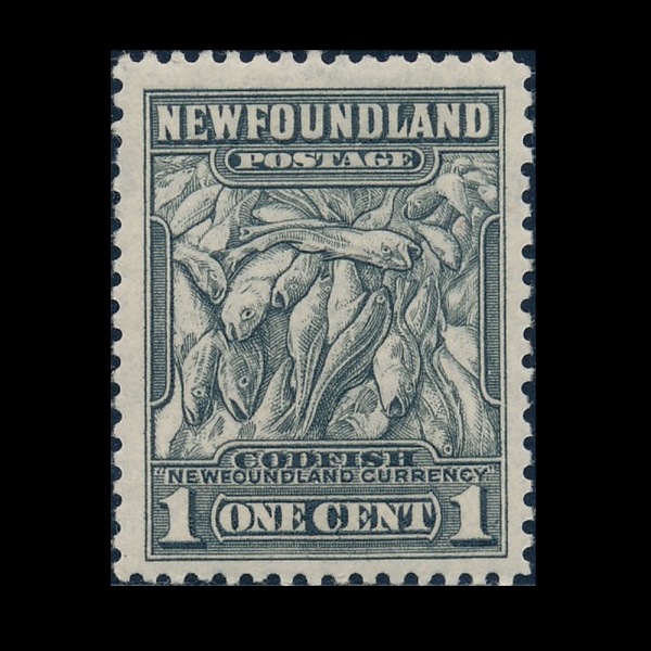 NEWFOUNDLAND(���ݵ鷣�弶)-#184-1c-CODFISH(�뱸)-1932��