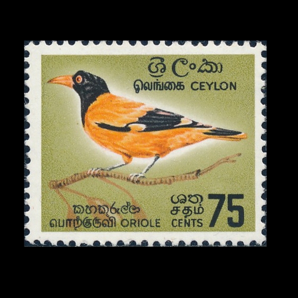 CEYLON(�Ƿ�)-#378-75c-ASIATIC BLACK-HEADED ORIOLE(�����ĵ� ������)-1966.2.5��