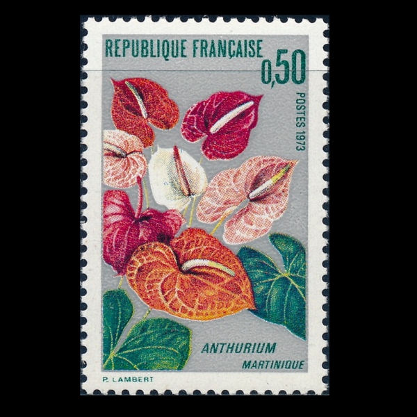FRANCE(������)-#1356-50c-ANTHURIUM(�Ƚ�����)-1973.1.20��