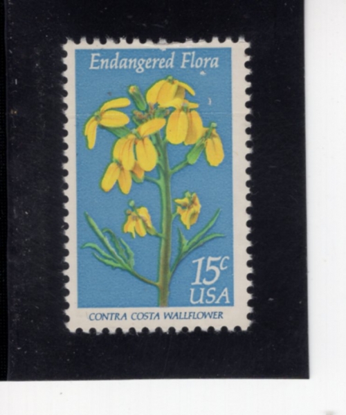 UNITED STATES(�̱�)-#1785-15c-CONTRA COSTA WALIFLOWER(�����ù� ī��Ÿ��)-1979.6.7��