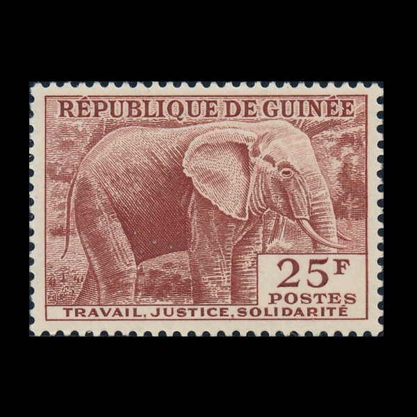 GUINEA(���)-#187-25fr-ELEPHANT(�ڳ���)-1959��