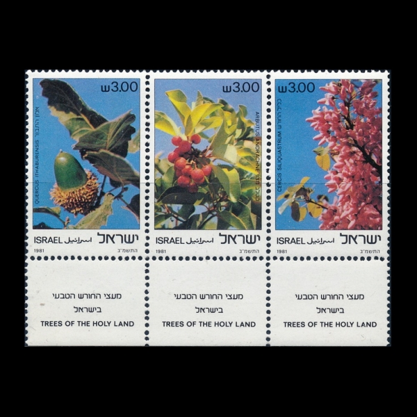 ISRAEL(�̽���)-TAB-#798~800(3��)-TREES(����)-1981.12.29��