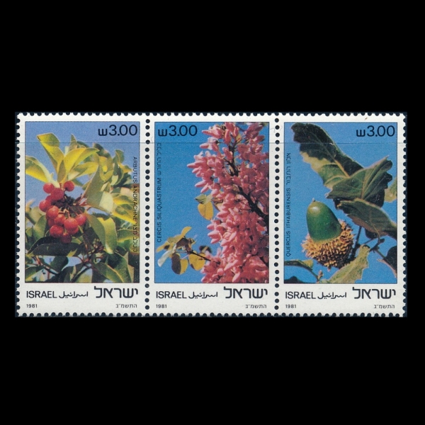 ISRAEL(�̽���)-#798~800(3��)-TREES(����)-1981.12.29��
