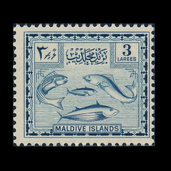 MALDIVE ISLANDS(����� ����)-#29-3c-MALDIVE FISH(����� ����)-1952��