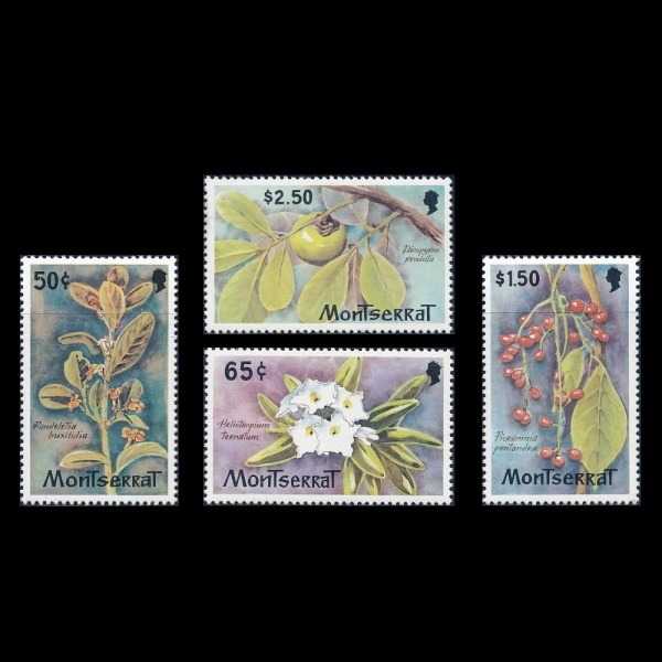 MONTSERRAT(�󼼶�Ʈ)-#480~3(4��)-WILD FLOWERS FIRST DISCOVERED ON MONTSERRAT(��Ʈ�������� ó�� �߰ߵ� �߻�ȭ)-1982.1.18��