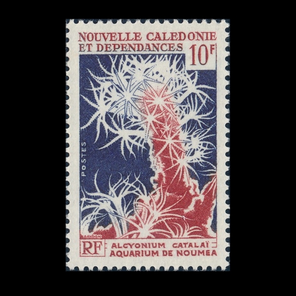 NEW CALEDONIA(��Į�����Ͼ�)-#339-10fr-ALCYONIUM CATALAI(��Ű���Ͽ�)-1965��