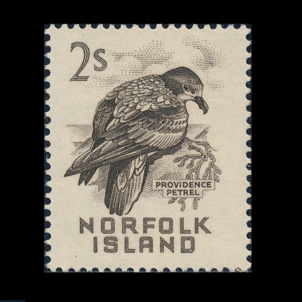 NORFOLK ISLAND(���� ��)-#37-2sh-PROVIDENCE PETREL(���κ���� ��Ʈ��)-1961��