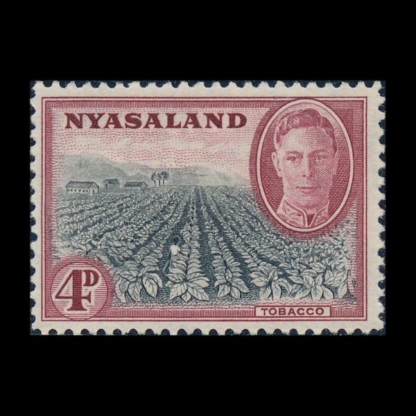 NYASLAND PROTECTORATE(�Ͼƻ췣��)-#73-4p-TOBACCO ESTATE(��� ����)-1945.9.1��