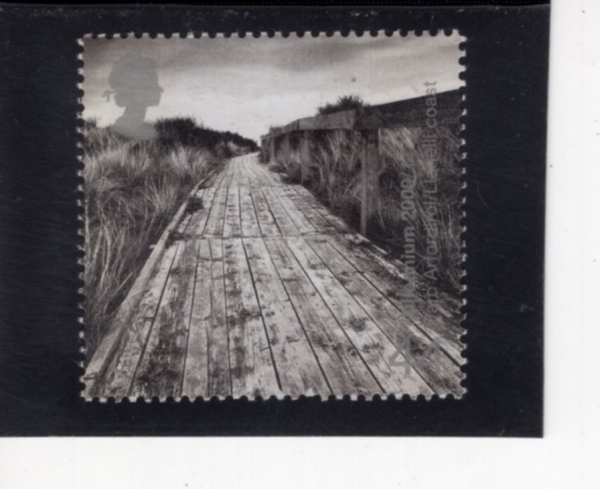 GREAT BRITAIN(����)-#1896-44p-PARC ARTORDIROL PROJECT(�ĸ�ī������ ������Ʈ)-2000.2.1��