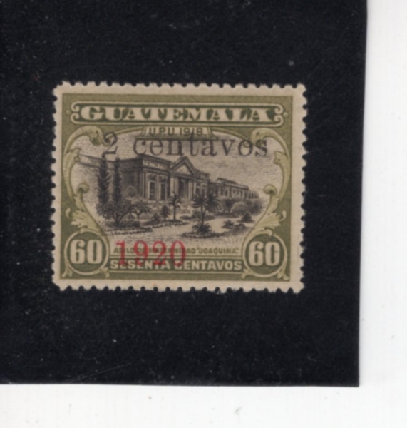 GUATEMALA(���׸���)-#167-2c on 60c-\"JOAQUINA\" MATERNITY HOSPITAL(ȣ��Ű�� ����ΰ� ����)-1920��