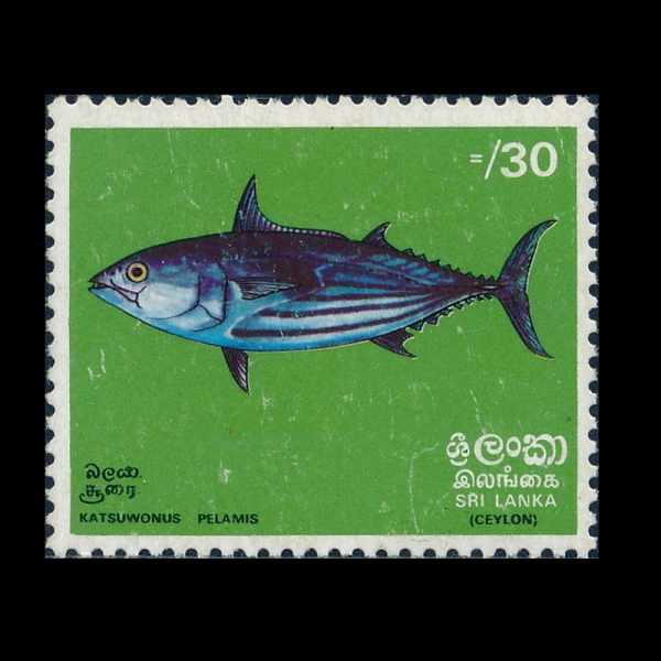 SRI LANKA(������ī)-#475-30c-SKIPJACK BONITO(��ŵ�� ��ġ)-1972.10.12��