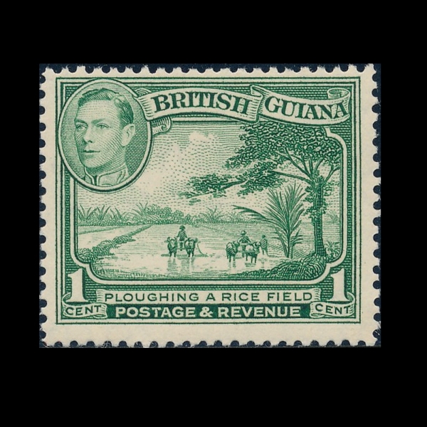 BRITISH GUIANA(������ ��Ƴ�)-#210-1c-PLOWING A RICE FIELD(���� ����)-1934.10.1��