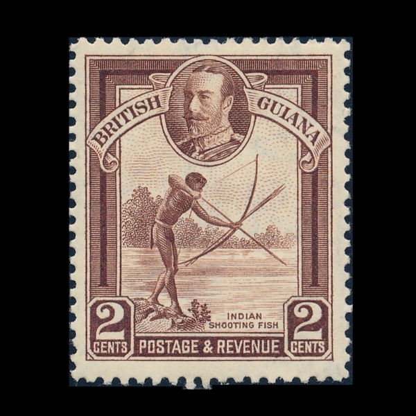 BRITISH GUIANA(������ ��Ƴ�)-#211-2c-INDIAN SHOOTING FISH(\"�ε�� ���� �ǽ�\")-1934.10.1��