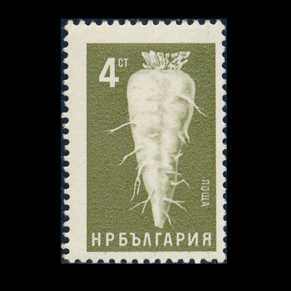 BULGARIA(�Ұ�����)-#1417-4s-SUGAR BEET(������)-1965.4.1��