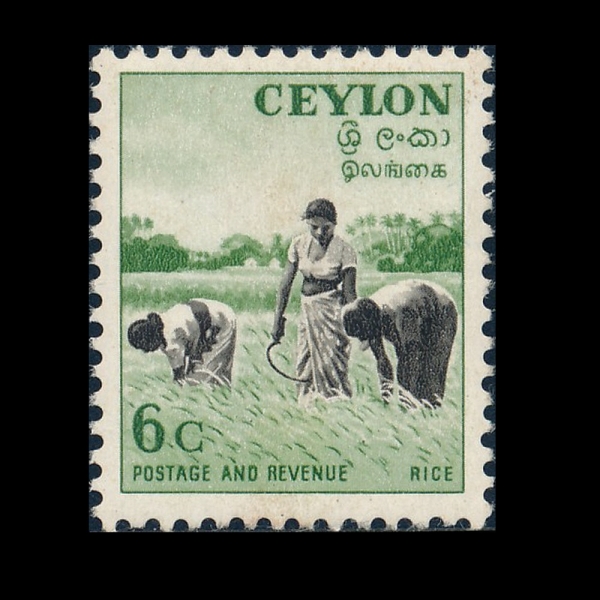 CEYLON(�Ƿ�)-#321-6c-HARVESTING RICE(�� ��Ȯ)-1954��