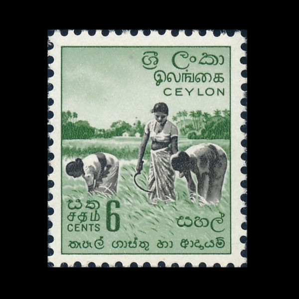CEYLON(�Ƿ�)-#348-6c-HARVESTING RICE(�� ��Ȯ)-1958��
