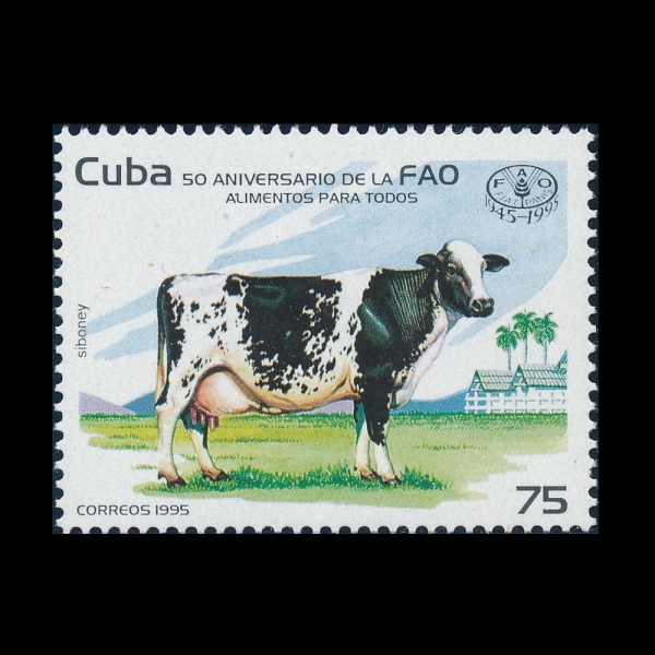 CUBA(����)-#3636-75c-FAO, 50TH ANNIV.(�ķ�����ⱸ, ����)-1995.4.7��