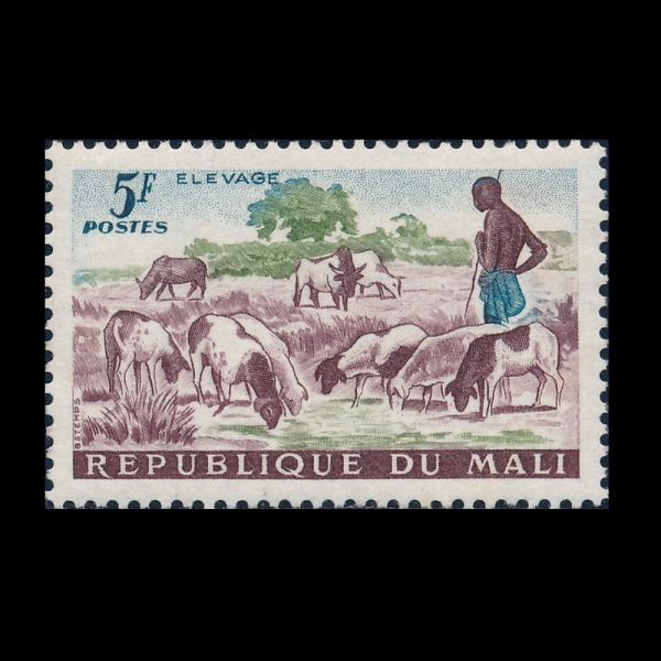 MALI(����)-#21-5fr-SHEPHERD AND SHEEP(��, ��)-1961.12.24��