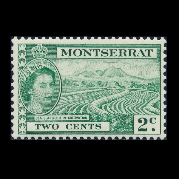 MONTSERRAT(��Ʈ����)-#130-2c-COTTON FIELD(��ȭ ��)-1953��