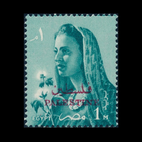 EGYPT(����Ʈ)-#N59-1m-FAMER\