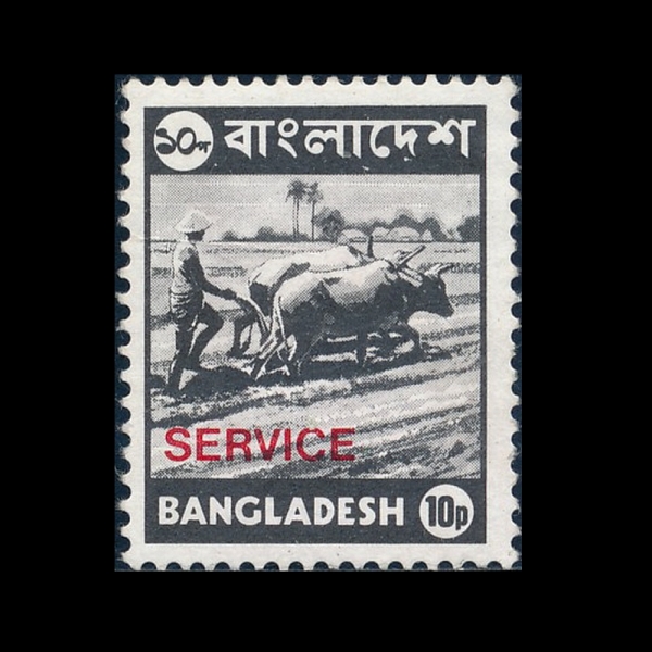 BANGLADESH(��۶󵥽�)-#O3-5p-FARMER PLOWING WITH OX TEAM(Ȳ������ �Բ� ���� ���� �ִ� ���)-1973.4.30��