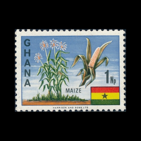 GHANA(����)-#286-1np-CORN(������)-1967��