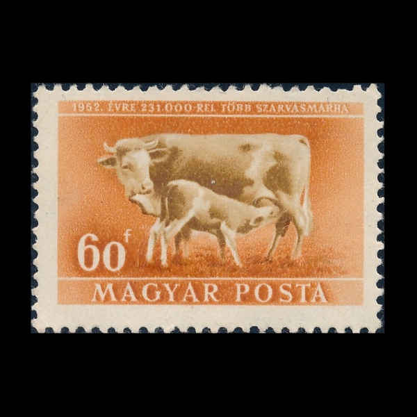 HUNGARY(�밡��)-#932-60f-COW AND CALF(�ϼ�, �۾���)-1951.4.5��