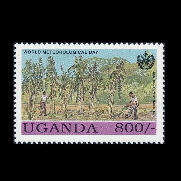UGANDA(�찣��)-#1198-800sh-DESTRUCTION BY HAIL STORM(��� ��ǳ)-1993.12.29��