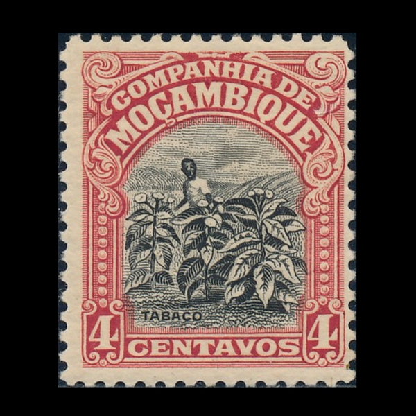 MOZAMBIQUE COMPANY(�����ũ ȸ��)-#118-4c-TOBACCO FIELD(��� ���)-1925��
