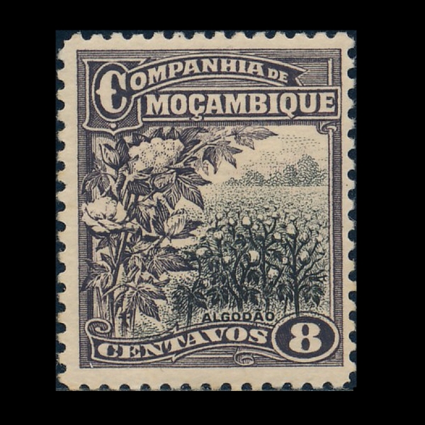 MOZAMBIQUE COMPANY(�����ũ ȸ��)-#125-8c-COTTON FIELD(��ȭ ���)-1918��