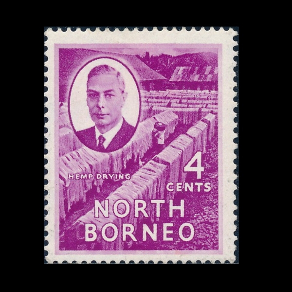 NORTH BORNEO(�Ϻ����׿�)-#247-4c-HEMP DRYING(�븶�� �����ϴ� ��)-1950.7.1��