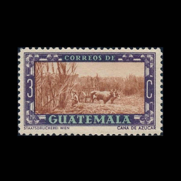 GUATEMALA(���׸���)-#333-3c-SUGAR CANE FIELD(�������� ��)-1950.2��