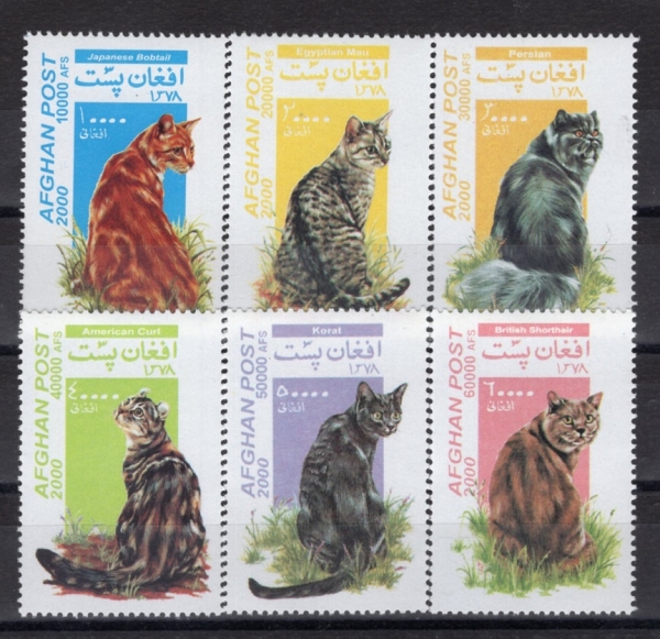 AFGHANISTAN(�������Ͻ�ź)-#NO(6��)-CATS(������)-2000��