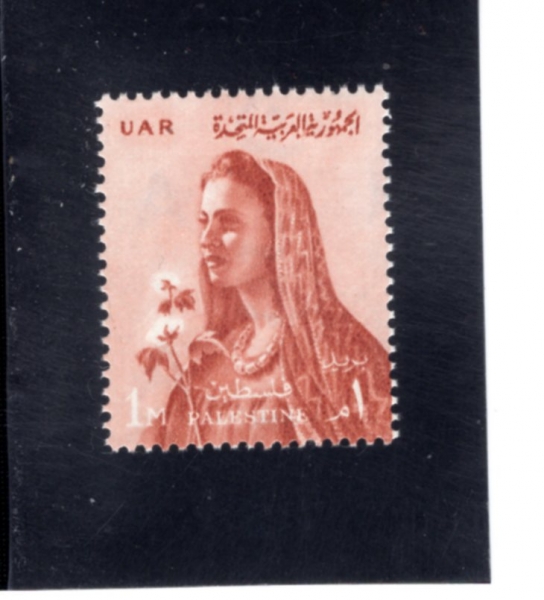 EGYPT(����Ʈ)-#N59-1m-FARMER\