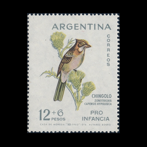 ARGENTINA(�Ƹ���Ƽ��)-#B41-12+6c-ZONOTRICHIA CAPENSIS HYPOLEUCA(����������)-1962.12.29��