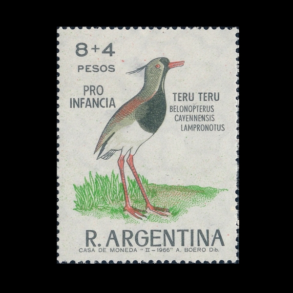 ARGENTINA(�Ƹ���Ƽ��)-#B48-8+4c-BELONOPTERUS CAYENNENSIS LAMPRONOTUS(���ε����)-1966.3.26��