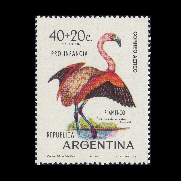 ARGENTINA(�Ƹ���Ƽ��)-#CB41-40+20c-PHPENICOPTERUS RUBER CHILENSIS(ĥ�� �ö�ְ�)-1970.5.9��