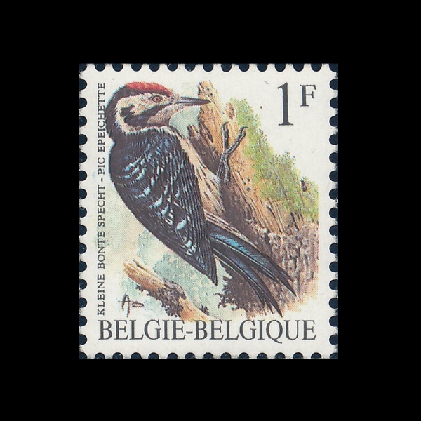 BELGIUM(���⿡)-#1217-1fr-PICEPEICHETTE(ū�����̵�������)-1990.1.15��