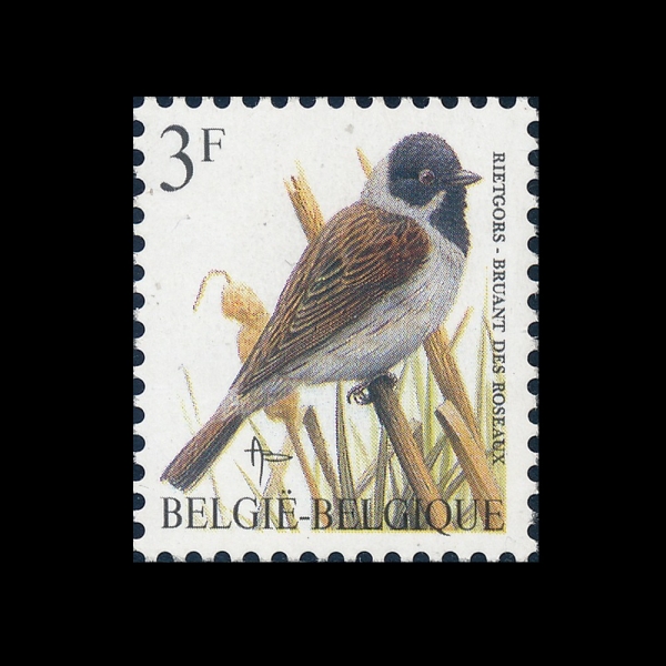 BELGIUM(���⿡)-#1220-3fr-BRUANT DESROSEAUX(������)-1991.9.30��